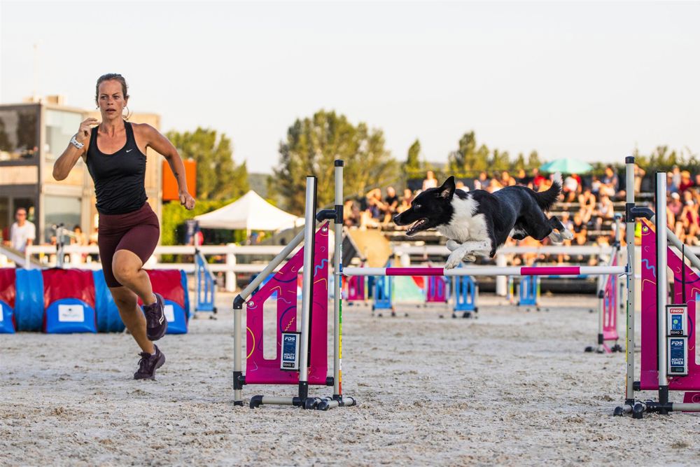 Prague Agility Party